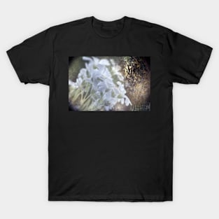 snow in summer T-Shirt